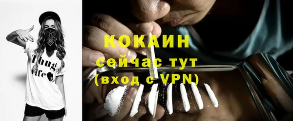 шишки Абинск