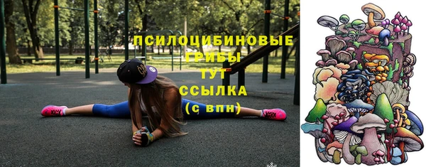 ГАЛЛЮЦИНОГЕННЫЕ ГРИБЫ Алзамай