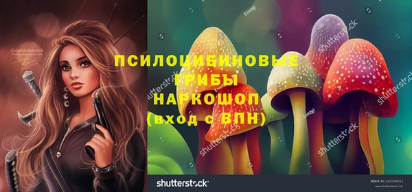 шишки Абинск