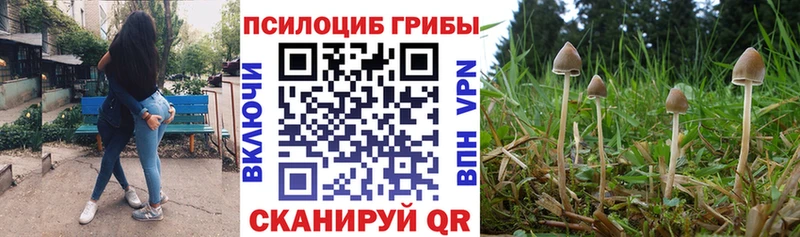 наркошоп  Кириллов  Псилоцибиновые грибы мухоморы 