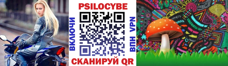 Псилоцибиновые грибы Cubensis Кириллов